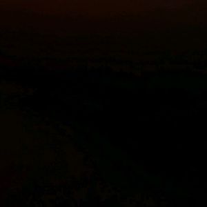 Meet your Posher, Henry